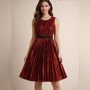 Gracia Burgundy Pleated Midi Dress